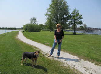 Hondenregels van 1 april tot 1 oktober