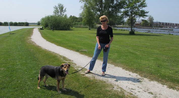 hond aan de lijn Zwaansmeer