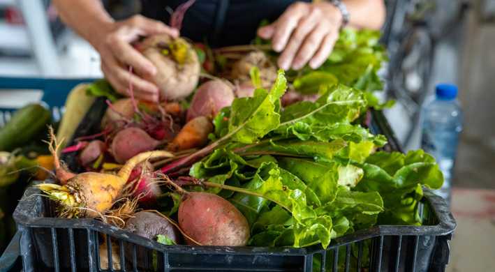 2025 Informatiebijeenkomst herenboeren Rorik