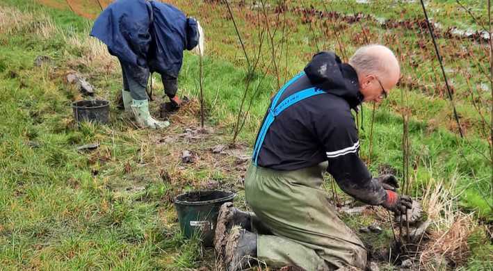 herenboeren haag planten2