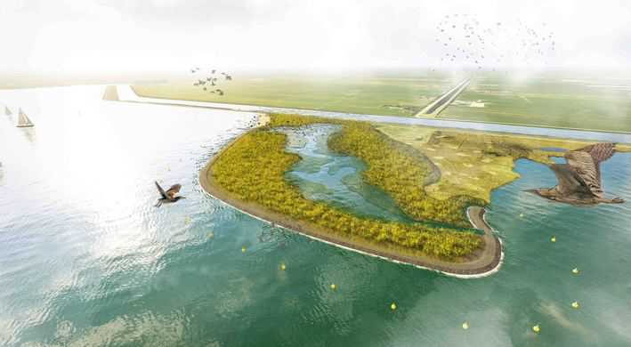 20250214 Nieuwe natuur Saskerleidam