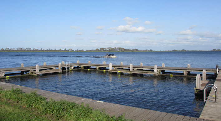 zwemsteiger De Hoorne 2023